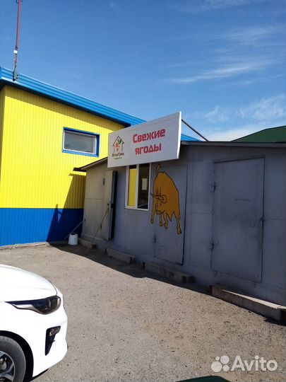 Холодильная камера