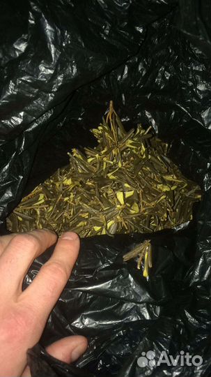 Сагаан Дайля