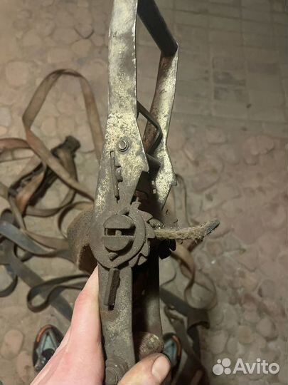 Ремень стяжной трещетка