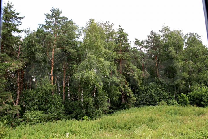 Участок 14 сот. (ИЖС)