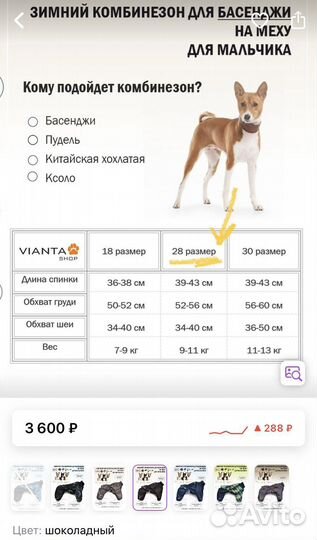 Куртка, шлейка, намордник