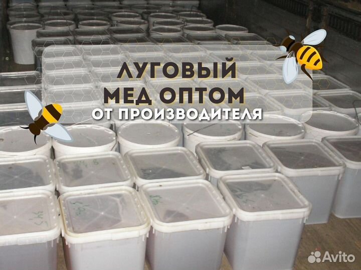 Луговой мед оптом с Алтая