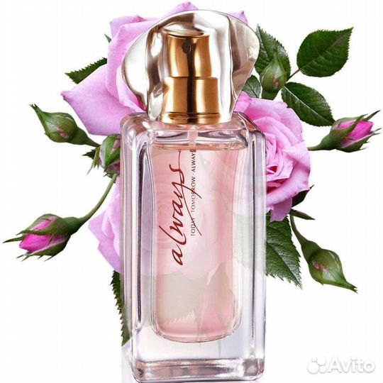 Avon по закупке Эйвон