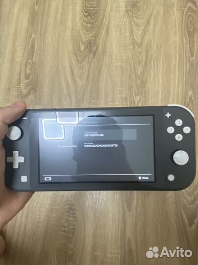 Nintendo switch lite