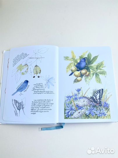 Дневник природы с рисунками Марджолен Бастин