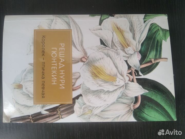 Королёк- птичка певчая