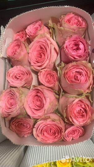 Цветы оптом