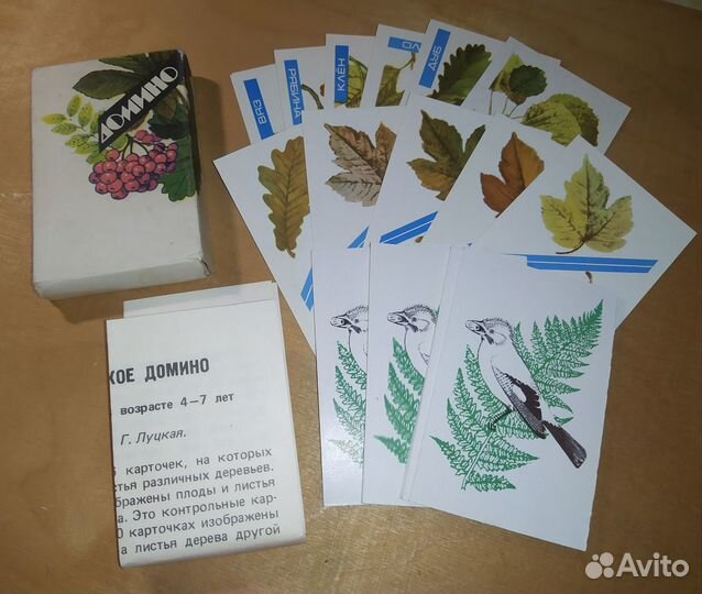 Ботаническое домино кцп 1991