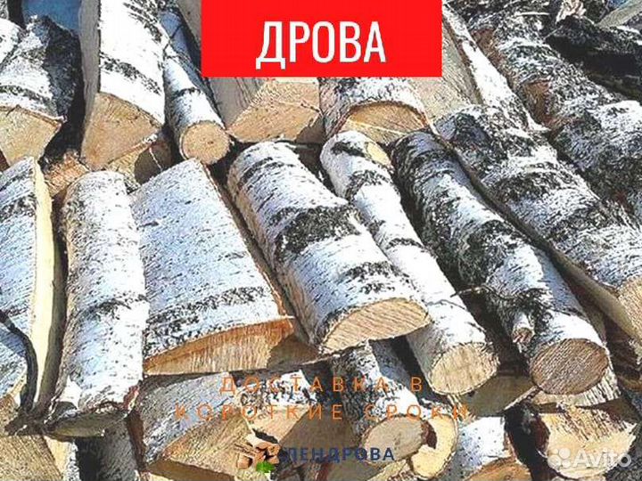 Дрова на дачу