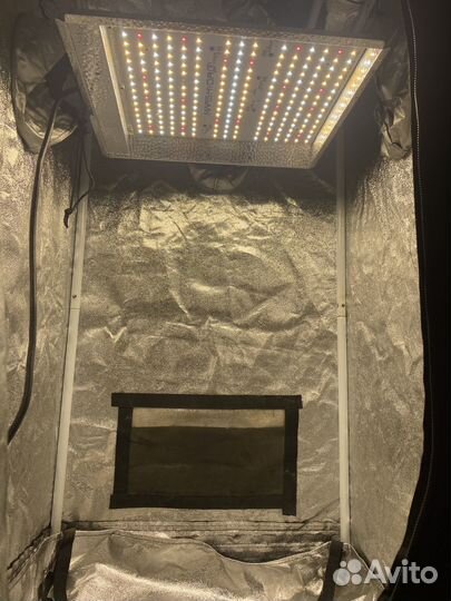 Гроубокс под ключ бу