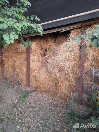 Сено в рулонах 2023