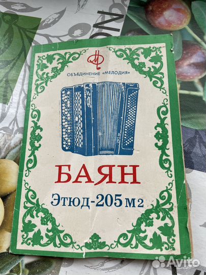 Баян «Этюд-205 м2»