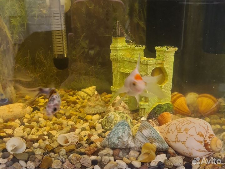 Аквариум 60л