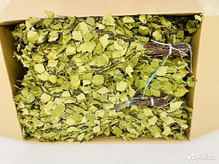 Веник березовый для бани и сауны