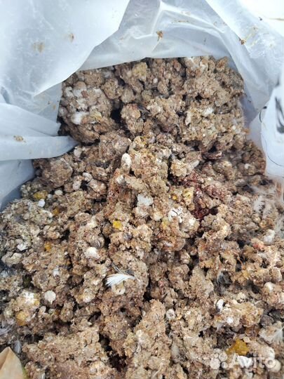 Куриный помет