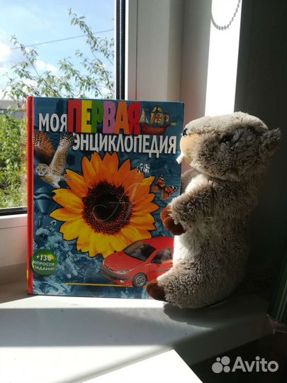 Моя первая энциклопедия новая росмэн