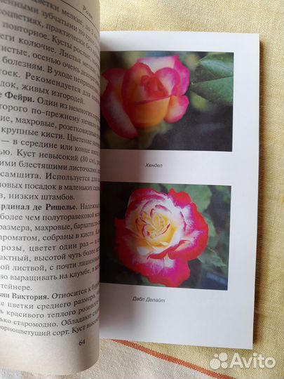 Книги для дома и дачи