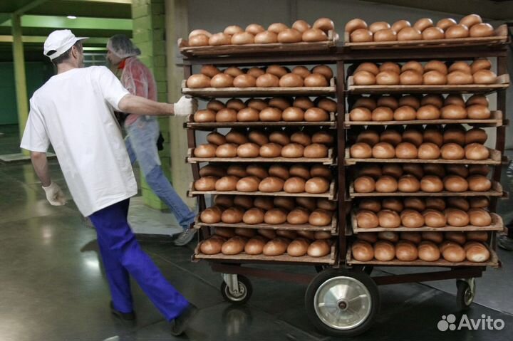 Грузчики на 5 смен