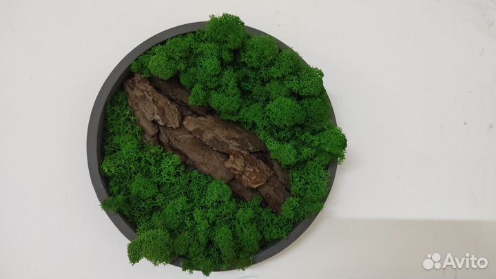 Панно из стабилизированного мха