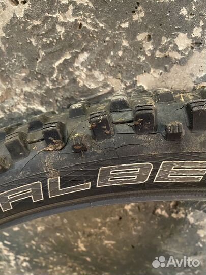 Покрышка schwalbe 26 dirty dan 2.35