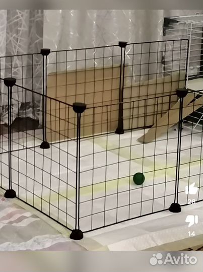 Вольер для собак в квартиру