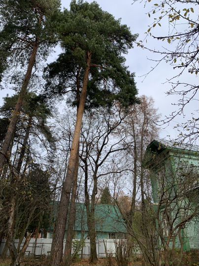 Участок 24 сот. (ИЖС)