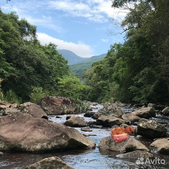 Мягкая игрушка черепаха вязаная