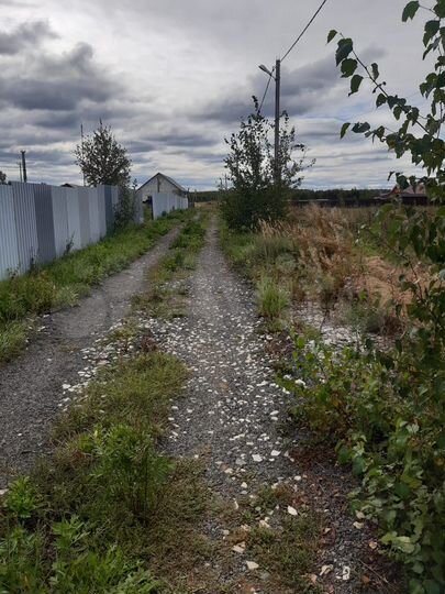 Участок 12 сот. (СНТ, ДНП)