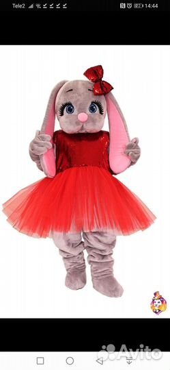 Праздники мероприятия