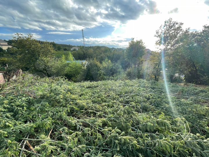 Участок 11 сот. (ИЖС)