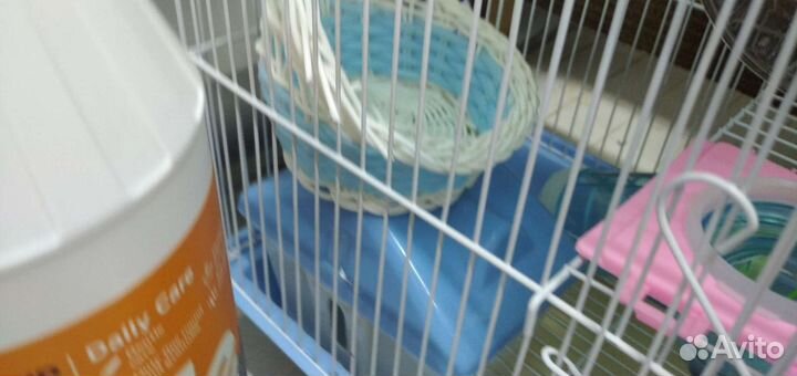 Корм,колесо,домик,лабиринт,мойка,кормушка