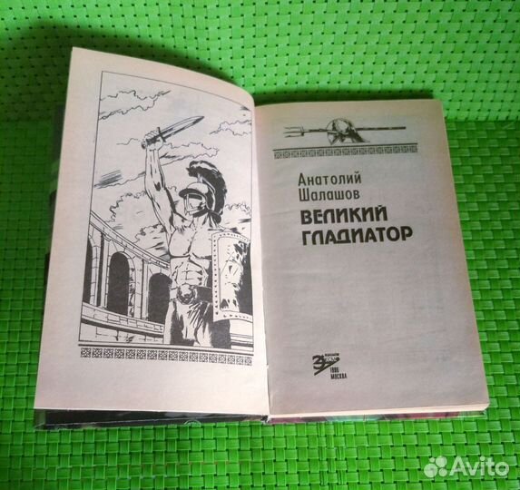 Книга Анатолий Шалашов 