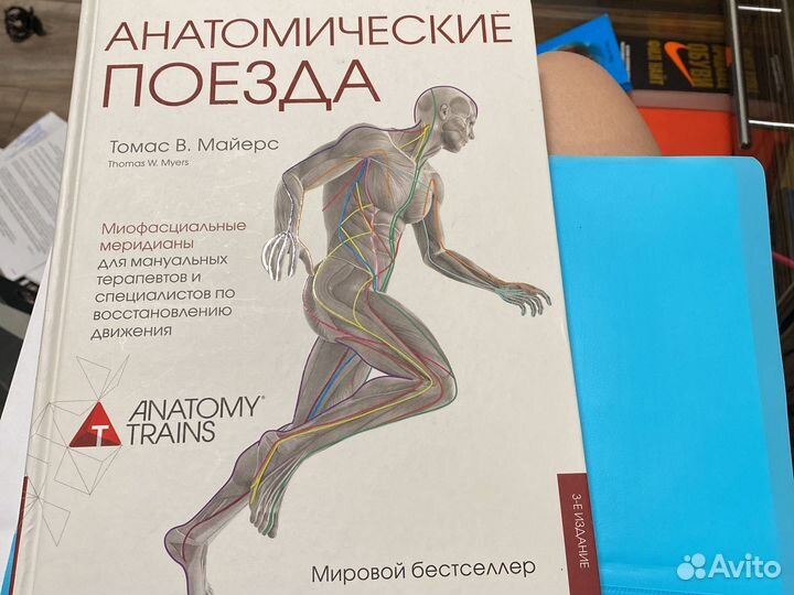 Анатомические поезда - купить в интернет-магазине по низкой цене на Яндекс Марке