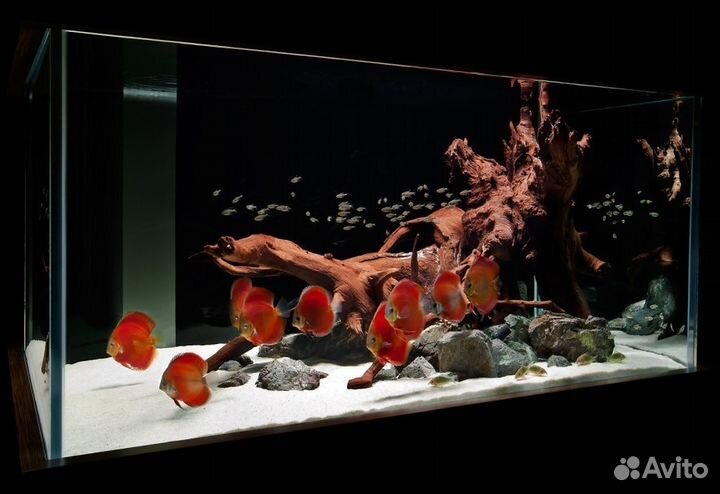 Аквариумы от 10 до 10000л