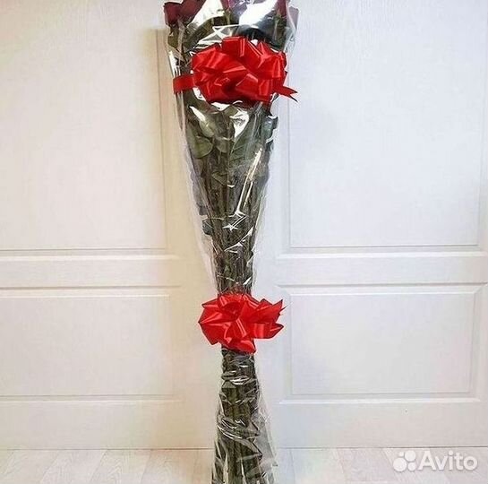 Высокие розы Гигантские Розы 150 160 170 180 190см