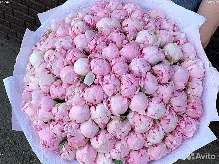 Пионы Доставка цветов букеты