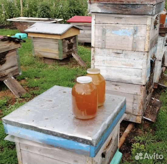 Мед цветочный разнотравье