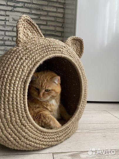 Котодомик для животных