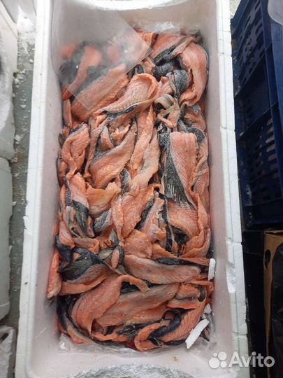 Обрезь семги