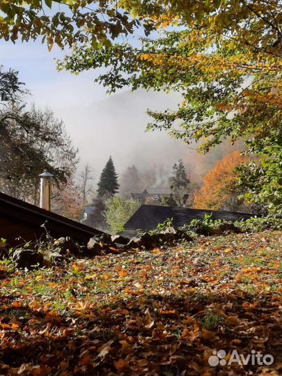 Организатор Сочи, Красная Поляна