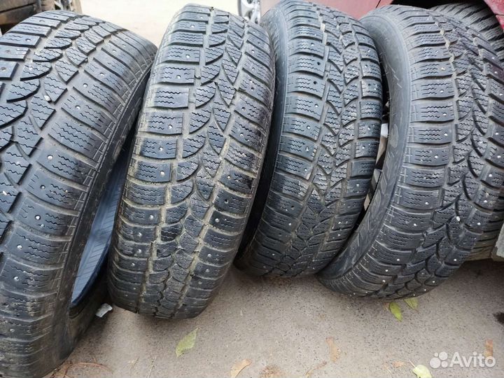 Tigar Sigura Stud R15