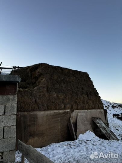 Сено в тюках