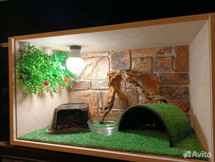 Террариум для эублефара