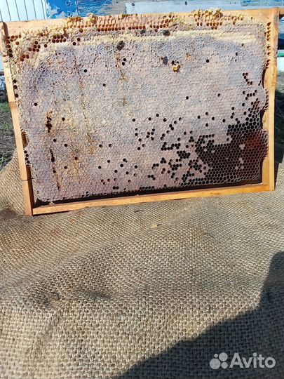 Медовые рамки