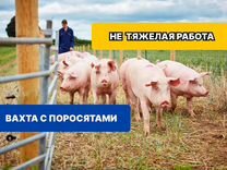 Разнорабочий Питание и проживание Вахта в Костроме