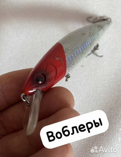 Прокат удочек