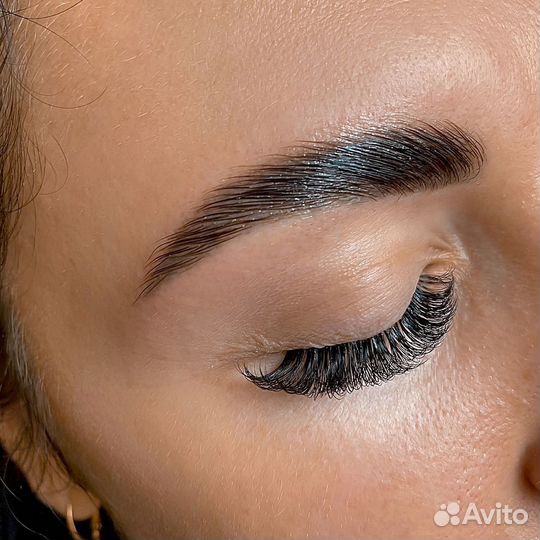 Обучение курс бровист