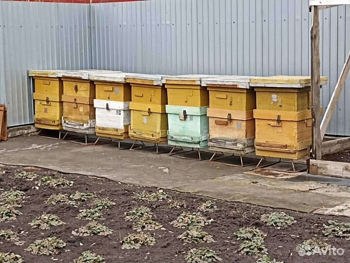 Улей для пчел