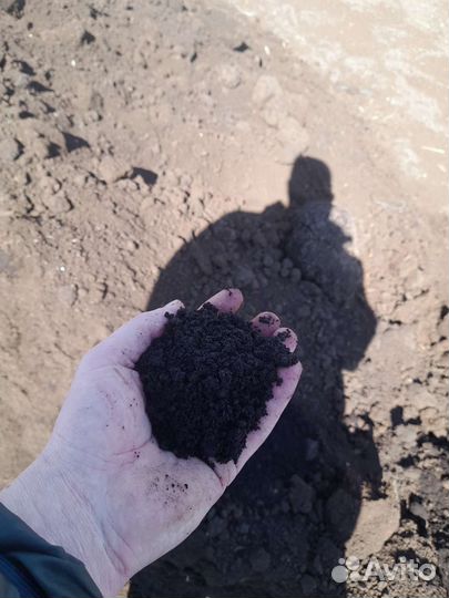 Чернозем, навоз, перегной в мешках