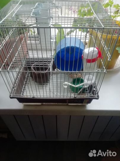 Клетка для грызунов бу